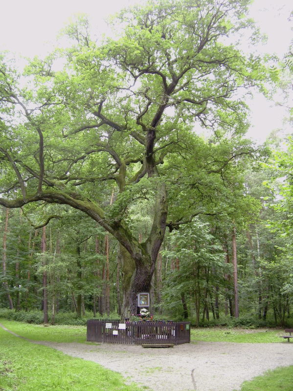 Projekt: Naturschutzgebiet