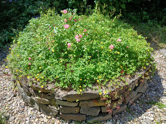 Garten 2