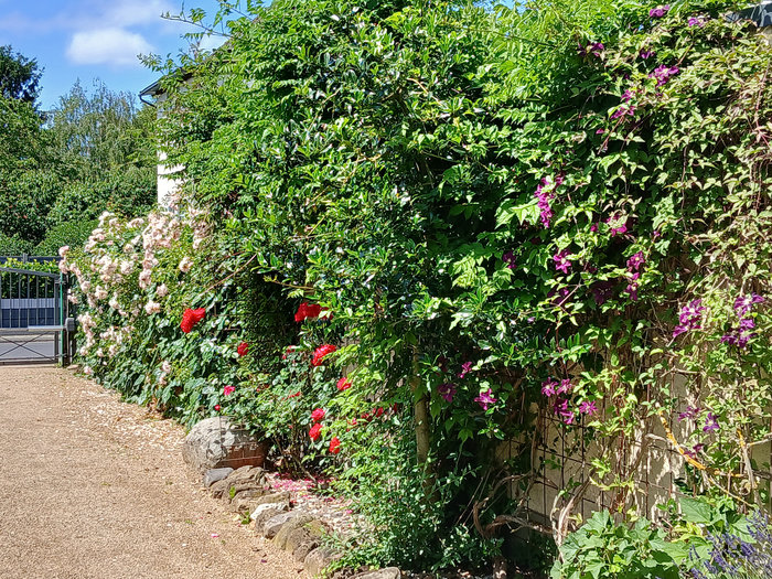 Garten 1